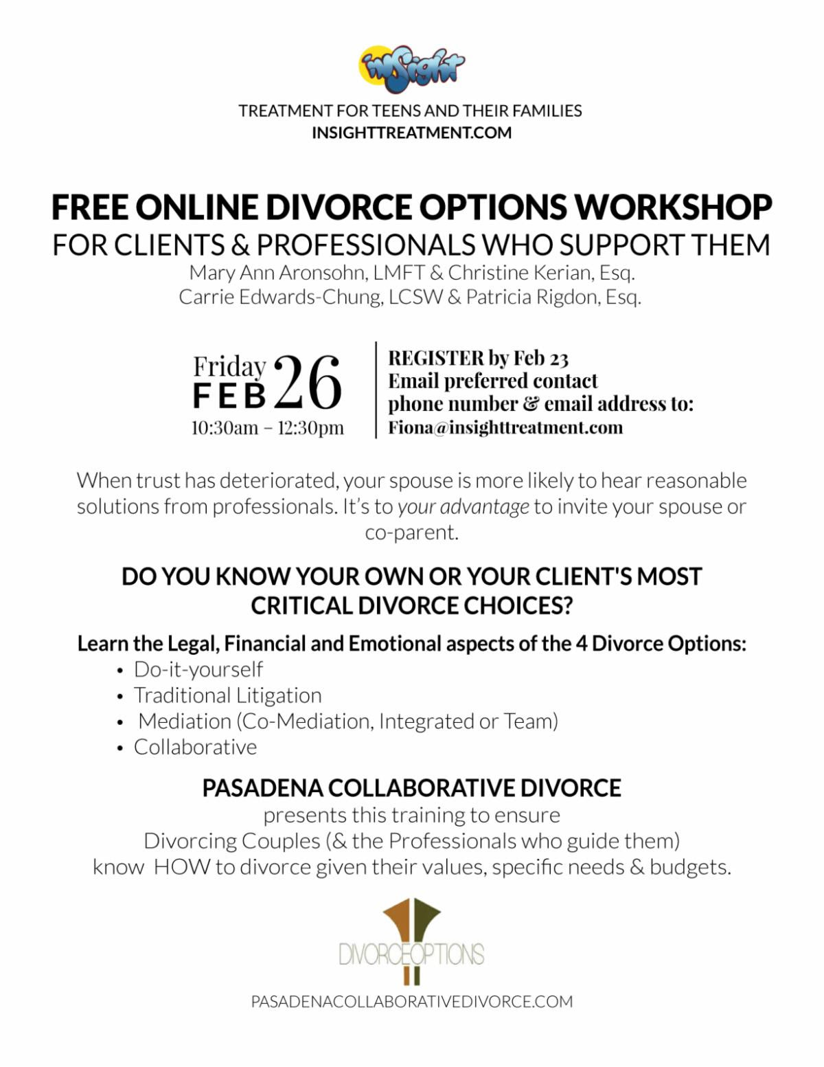 Online Divorce Options WorkShop