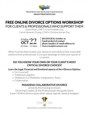 Divorce Options Workshop