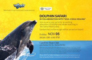 Dolphin-Safari-November-5